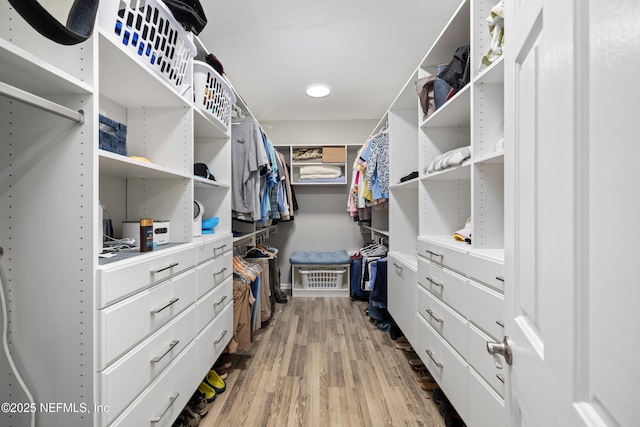 14526 Starbuck Springs Way, Jacksonville, FL 32258 - spacious closet with light wood finished floors