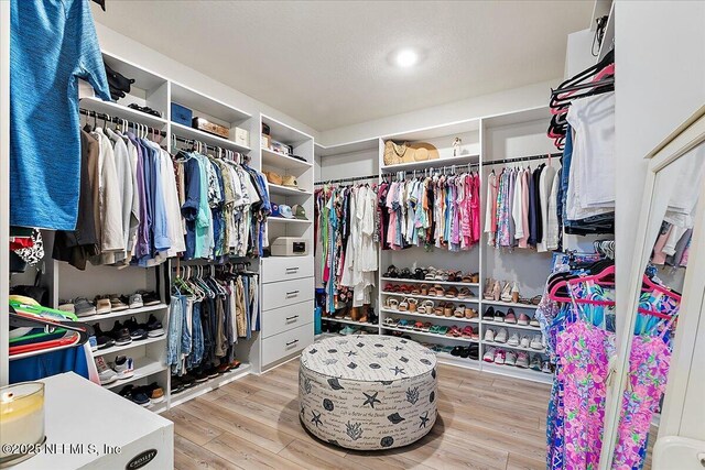 walk in closet featuring wood finished floors