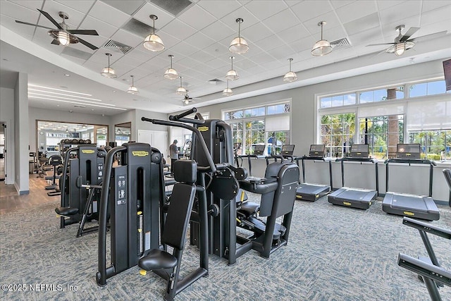 gym with ceiling fan, carpet flooring, a drop ceiling, and visible vents