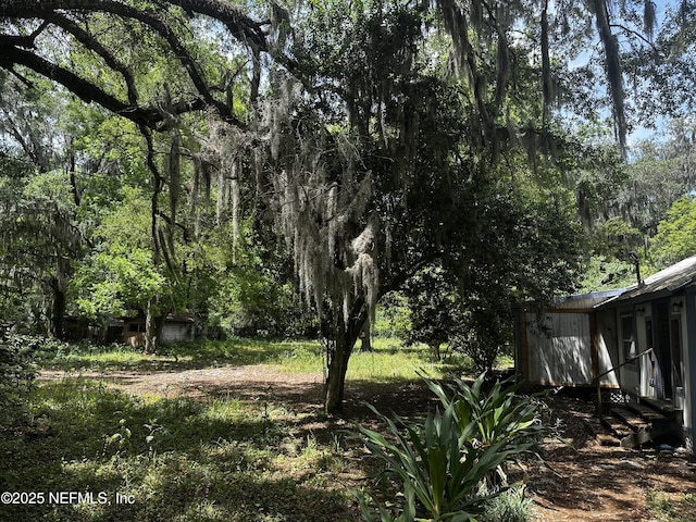 1336 Hogan Ln, Jacksonville, FL 32221 - photo 8