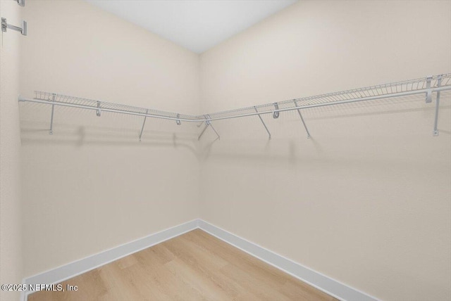 spacious closet featuring light wood-style flooring