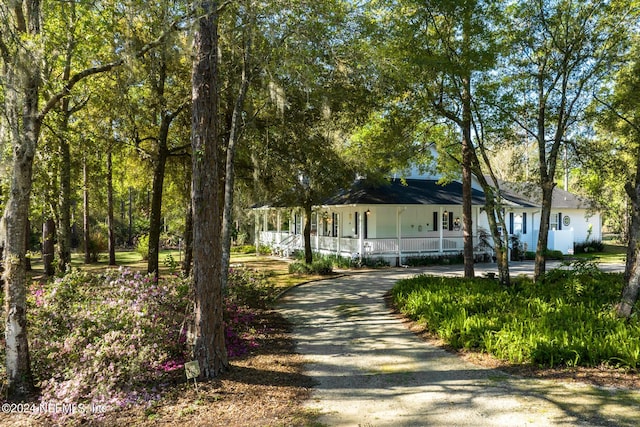 farmhouse inspired home with driveway and covered porch