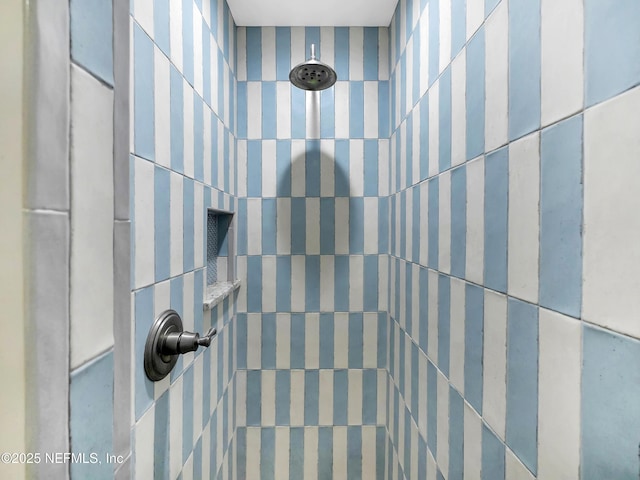 70 Weeden St + Guest House, Unit Guest House, Saint Augustine, FL 32084 - interior details with a tile shower