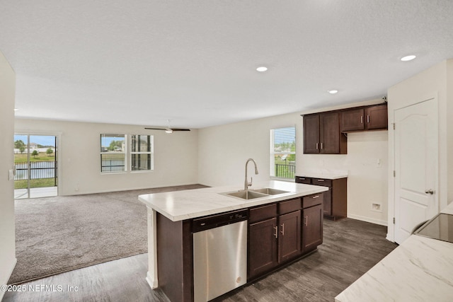 kitchen featuring stainless steel dishwasher, a wealth of natural light, a sink, and dark wood-type flooring