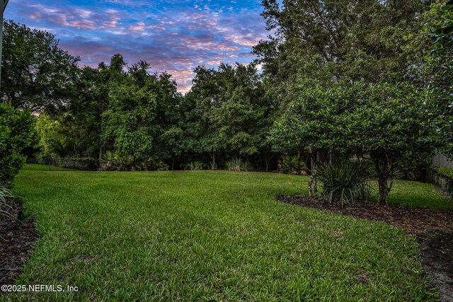 105 Calle Norte, Saint Augustine, FL 32095 - view of yard