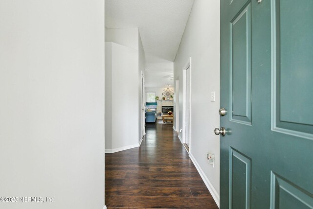 7962 Delta Post Dr S, Jacksonville, FL 32244 - photo 3