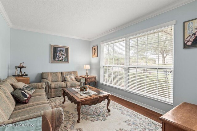 2632 Loopridge Dr, Orange Park, FL 32065 - living room featuring healthy amount of natural light, wood finished floors, crown molding, a textured ceiling, and baseboards