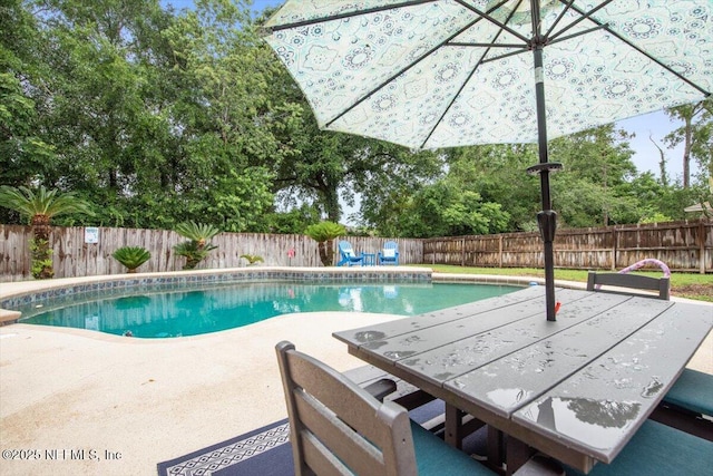 2632 Loopridge Dr, Orange Park, FL 32065 - view of swimming pool featuring a patio area and a fenced backyard