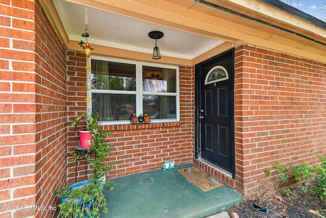 8691 Moss Haven Rd, Jacksonville, FL 32221 - photo 8