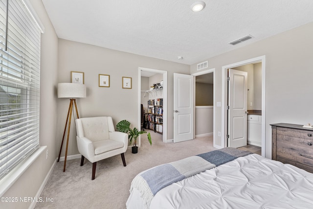 10350 Alder Creek Ln, Jacksonville, FL 32222 - bedroom with light colored carpet, a spacious closet, multiple windows, and a textured ceiling