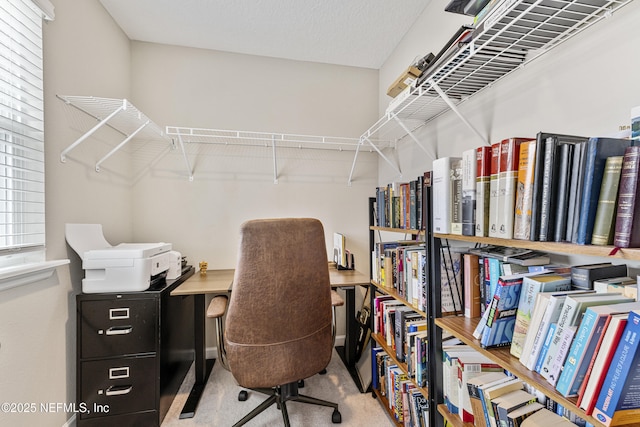 10350 Alder Creek Ln, Jacksonville, FL 32222 - walk in closet featuring carpet floors