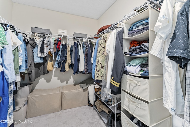 10350 Alder Creek Ln, Jacksonville, FL 32222 - view of walk in closet