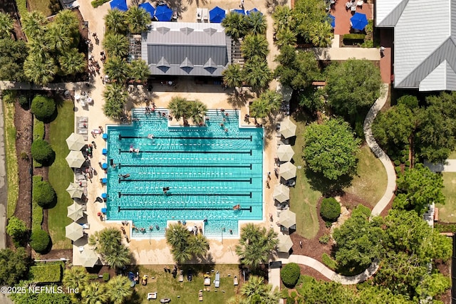 437 Narrowleaf Dr, Saint Johns, FL 32259 - aerial view of a pool area