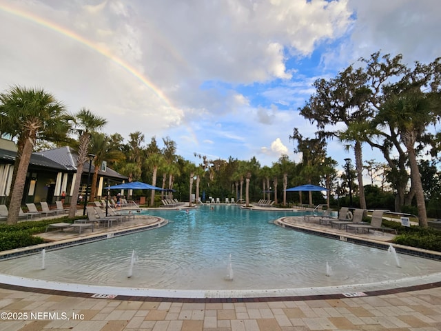 437 Narrowleaf Dr, Saint Johns, FL 32259 - community pool featuring a patio