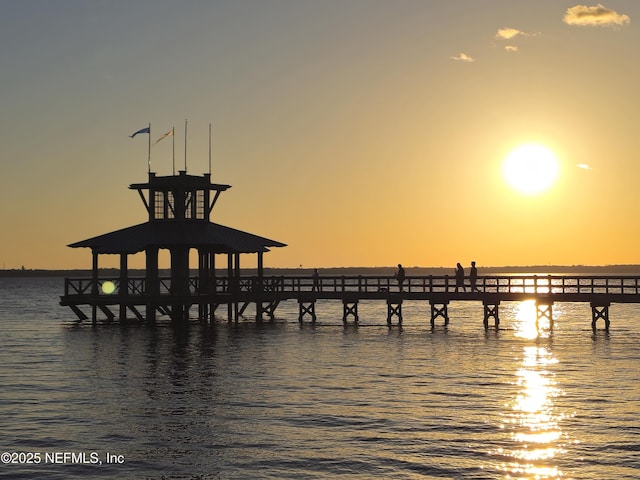 437 Narrowleaf Dr, Saint Johns, FL 32259 - dock featuring a water view