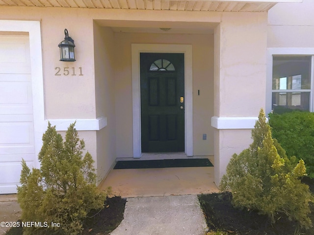 2511 Britney Lakes Ln, Jacksonville, FL 32221 - photo 2