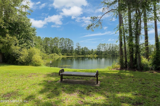 2511 Britney Lakes Ln, Jacksonville, FL 32221 - photo 43