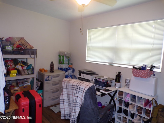 interior space featuring a ceiling fan and wood finished floors