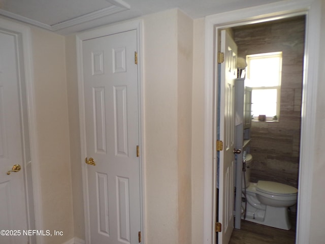 hall with wood finished floors