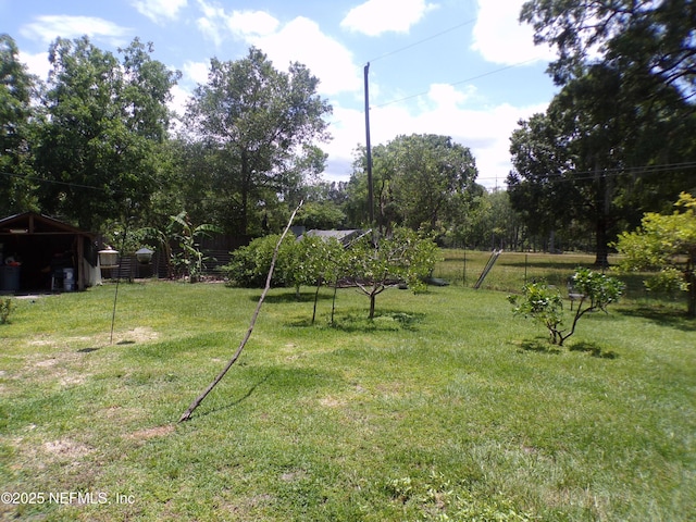 view of yard