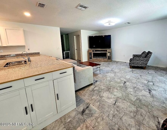 497 Live Oak Loop, Crescent City, FL 32112 - kitchen featuring a sink, white cabinetry, open floor plan, and visible vents
