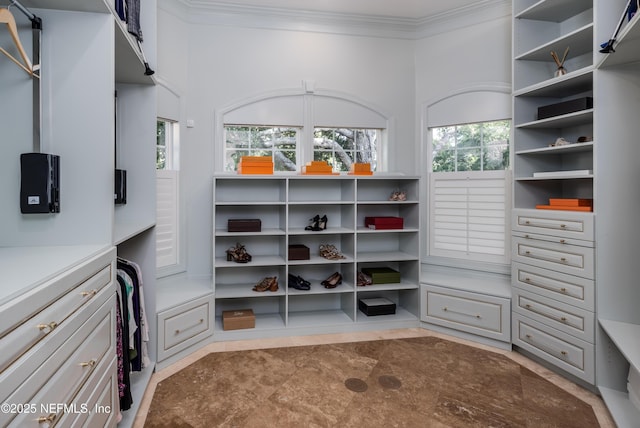 view of walk in closet