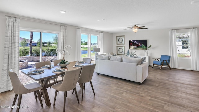 dining room featuring a wealth of natural light, wood finished floors, ceiling fan, and a textured ceiling