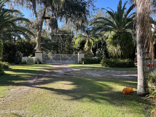 view of yard with a gate