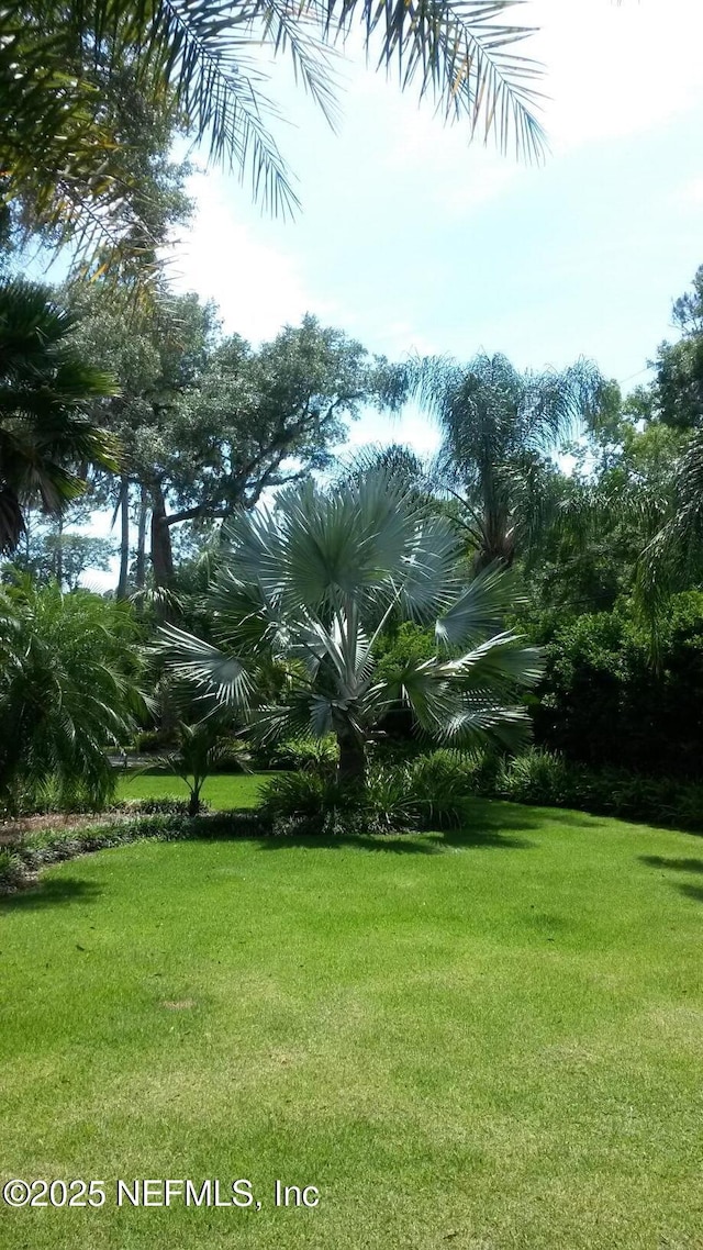 view of green lawn
