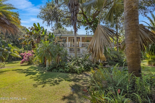 8435 Florence Cove Rd, Saint Augustine, FL 32092 - photo 7