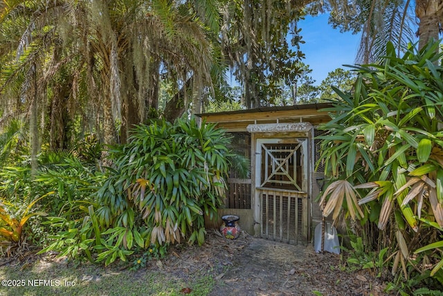 8435 Florence Cove Rd, Saint Augustine, FL 32092 - photo 50