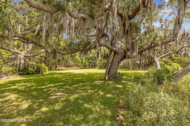1315 Autumn Trce, Fernandina Beach, FL 32034 - view of yard