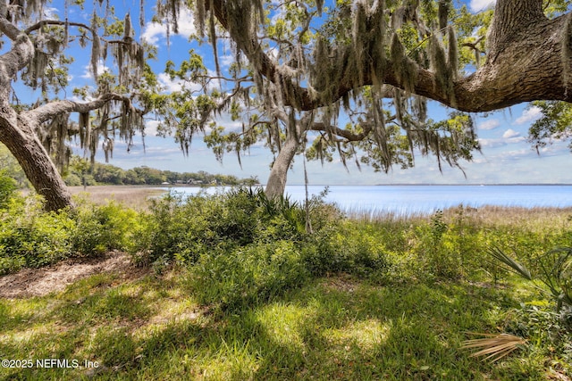 1315 Autumn Trce, Fernandina Beach, FL 32034 - view of water feature