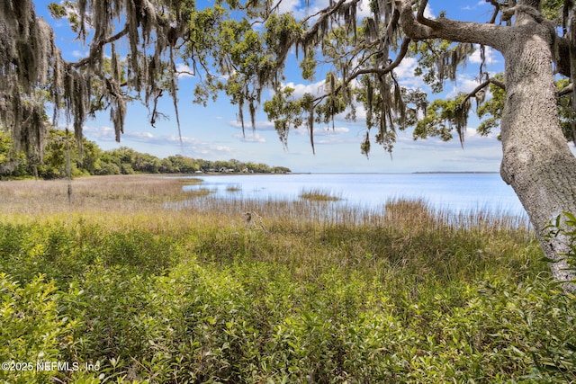 1315 Autumn Trce, Fernandina Beach, FL 32034 - view of water feature