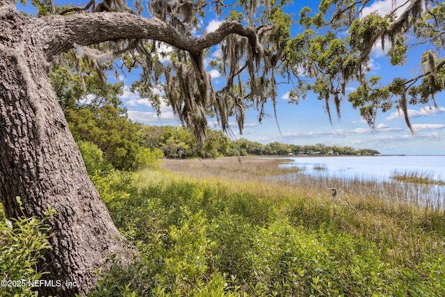 1315 Autumn Trce, Fernandina Beach, FL 32034 - water view