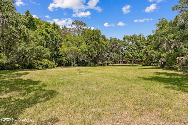 1315 Autumn Trce, Fernandina Beach, FL 32034 - view of yard