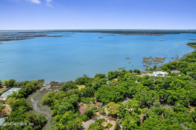 1315 Autumn Trce, Fernandina Beach, FL 32034 - bird's eye view with a water view