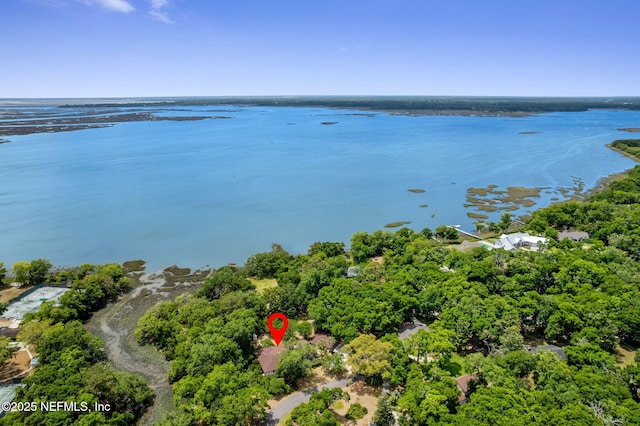 1315 Autumn Trce, Fernandina Beach, FL 32034 - birds eye view of property featuring a water view