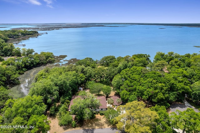 1315 Autumn Trce, Fernandina Beach, FL 32034 - aerial view featuring a water view