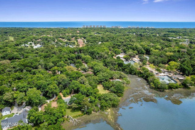 1315 Autumn Trce, Fernandina Beach, FL 32034 - birds eye view of property with a wooded view and a water view