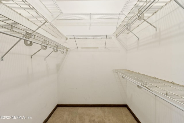 1315 Autumn Trce, Fernandina Beach, FL 32034 - walk in closet featuring light carpet