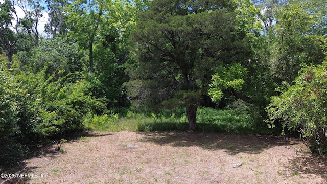5574 Ave B, Jacksonville, FL 32209 - photo 2