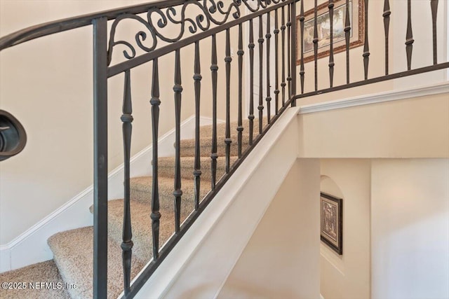 staircase with carpet flooring