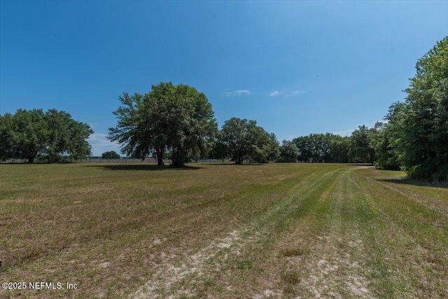 view of undeveloped land featuring rural landscape
