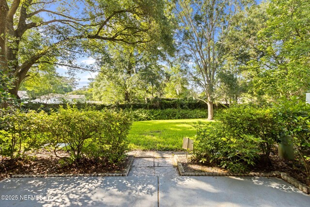 9252 San Jose Blvd Unit 1503, Jacksonville, FL 32257 - photo 27