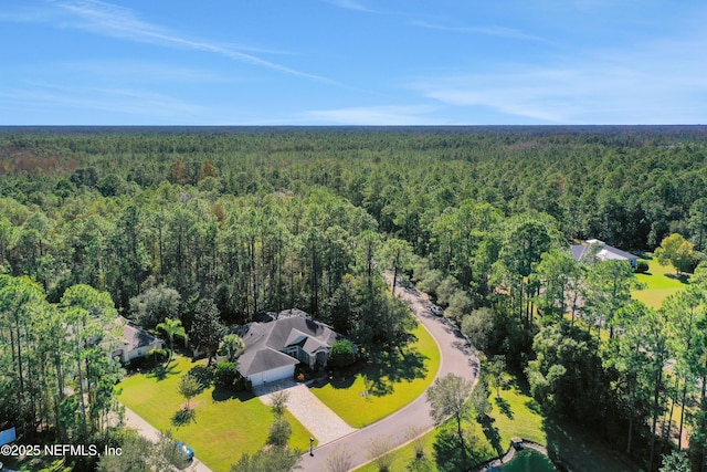 112 Long Branch Way, Saint Augustine, FL 32086 - bird's eye view with a view of trees
