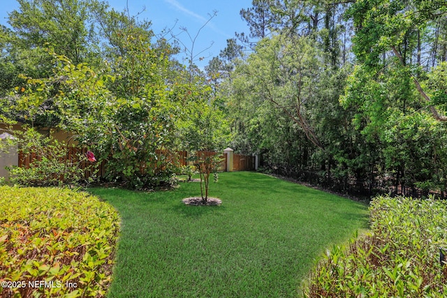 112 Long Branch Way, Saint Augustine, FL 32086 - view of yard with fence