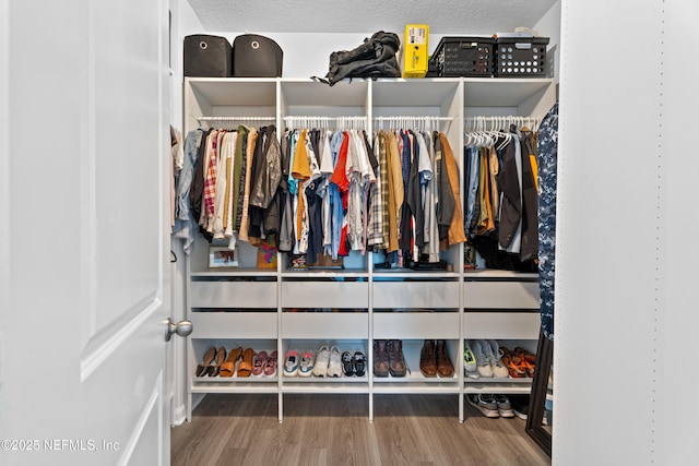 view of closet