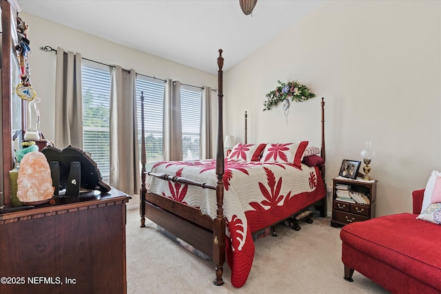 6750 White Blossom Cir Unit 36A, Jacksonville, FL 32258 - bedroom featuring vaulted ceiling and light colored carpet