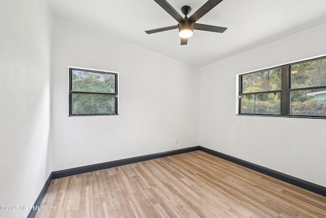 5444 Keystone Dr S, Jacksonville, FL 32207 - spare room with plenty of natural light, light wood-type flooring, ceiling fan, and baseboards